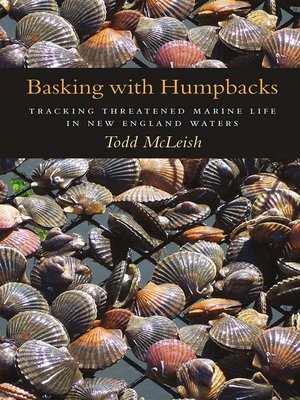 cover image of Basking with Humpbacks